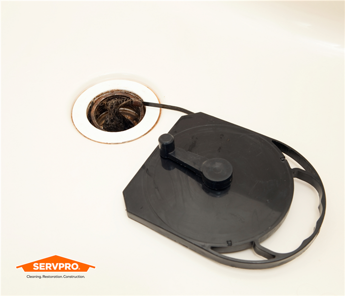 drain snake being pulled out of a drain clogged with hair to prevent water damage, SERVPRO logo