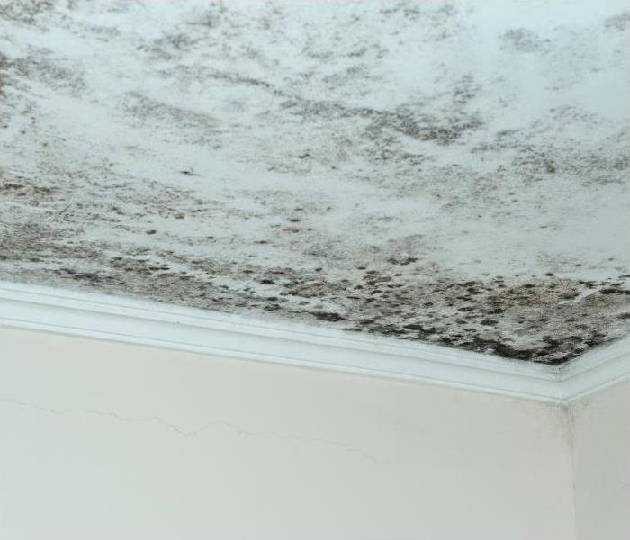 mold on ceiling in a Fort Worth home